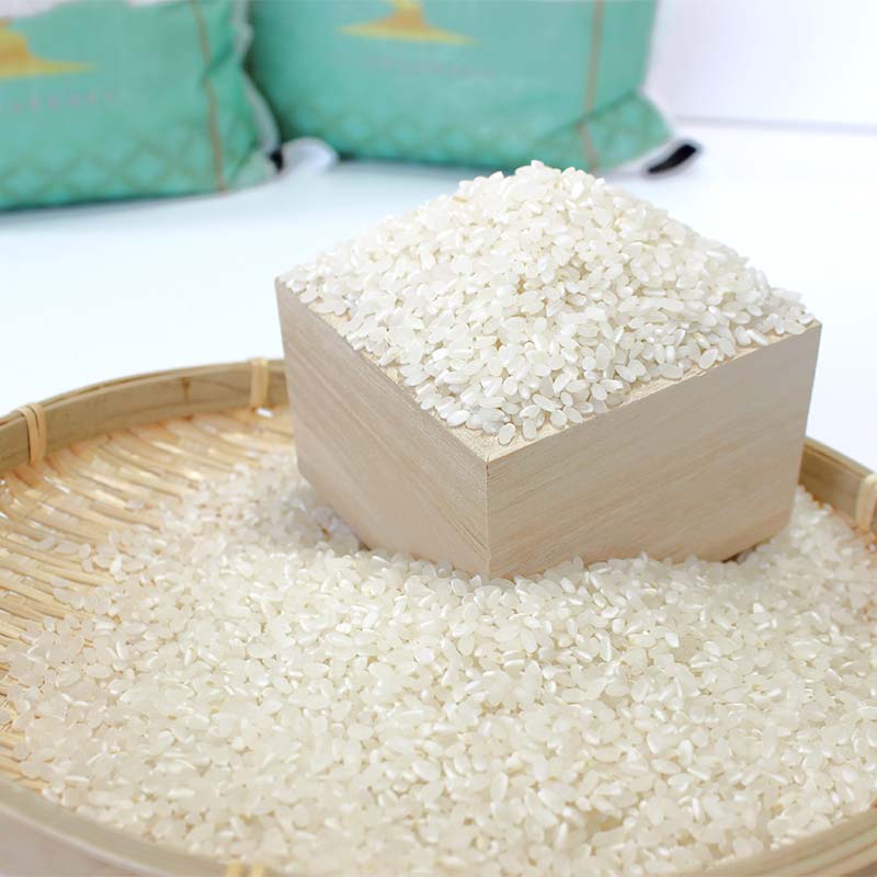 【ふるさと納税】 ＼選べる品種／ 【令和7年度産】球磨産白米 5kg ひのひかり or くまさんの輝き 新米 白米 精米 ふっくら 国産米 おすすめ 農家 FKP9-678var