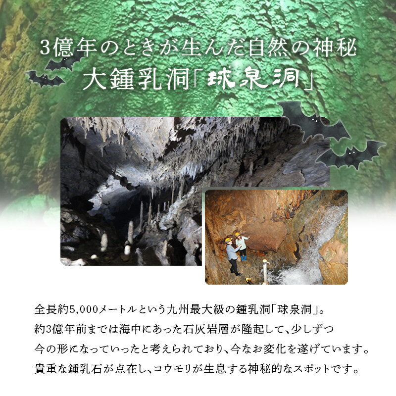 【ふるさと納税】熊本県 球磨焼酎 球泉洞オリジナル焼酎 2本セット 米焼酎 球磨村