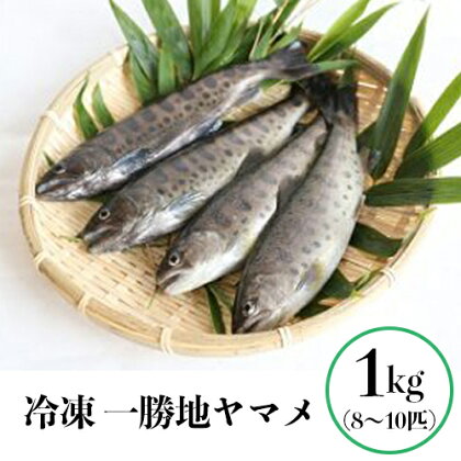 熊本県 球磨村産 冷凍 ヤマメ 一勝地ヤマメ 養殖