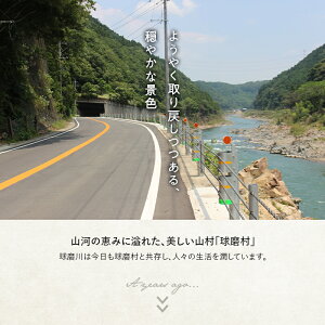 【ふるさと納税】《令和2年 熊本・鹿児島大雨災害支援緊急寄附受付》 熊本県球磨村 災害応援寄附金 （返礼品はございません）