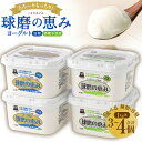 【ふるさと納税】【選べる 種類・容量】 とろ~り食感!!球磨の恵みヨーグルト 砂糖不使用タイプ 加糖タイプ 2種セット 1kg×3パック 1kg×4パック 計 3kg 4kg 7000円 ~ 9000円 乳製品 ヨーグルト 熊本県 あさぎり町 送料無料 お届け時期:入金確認後20日前後