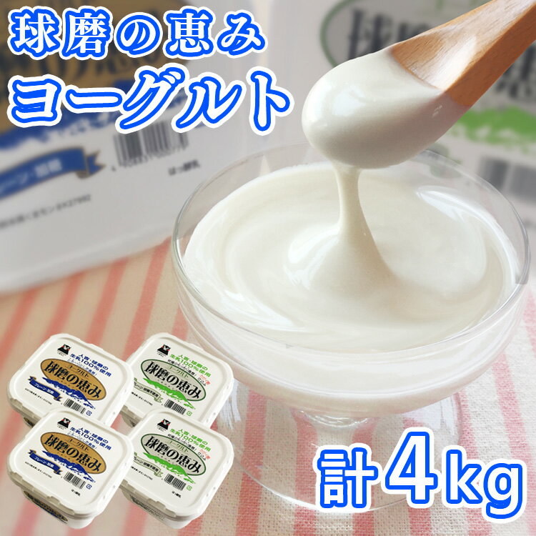 【ふるさと納税】とろ〜り食感!!球磨の恵みヨーグルトセット1kg×4パック (加糖・砂糖不使用 各2パック) 　お届け時期：入金確認後20日前後