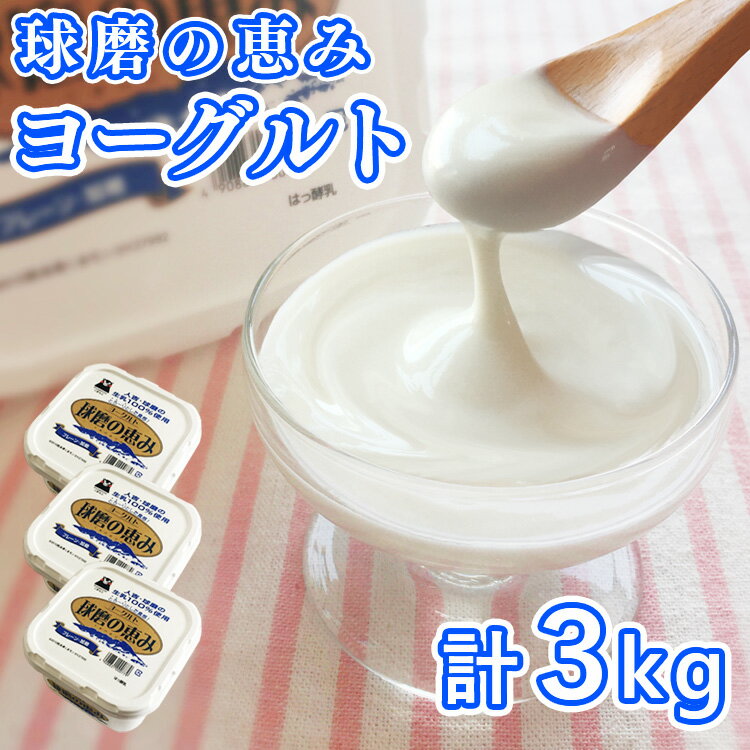 21位! 口コミ数「10件」評価「5」とろ〜り食感　球磨の恵みヨーグルト 加糖タイプ 1kg×3パック 　お届け時期：入金確認後20日前後