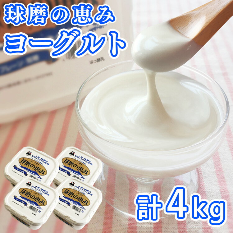 5位! 口コミ数「2件」評価「5」とろ〜り食感!!球磨の恵みヨーグルト 加糖タイプ 1kg×4パック 　お届け時期：入金確認後20日前後