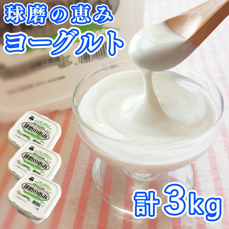 12位! 口コミ数「19件」評価「4.68」とろ〜り食感!!球磨の恵みヨーグルト 砂糖不使用タイプ 1kg×3パック 　お届け時期：入金確認後20日前後