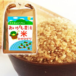 【ふるさと納税】令和5年産 熊本県あさぎり町産 合鴨農法米ヒノヒカリ 玄米 5kg 【農薬・化学肥料不使用】 　お届け時期：入金確認後20日前後