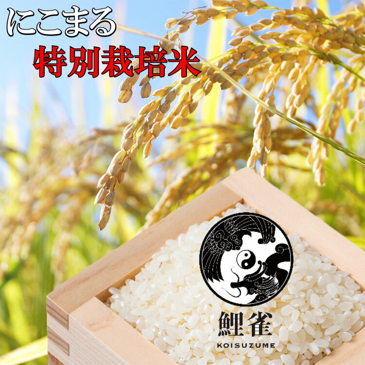 ミネラル農法 鯉雀米 にこまる 選べる内容量 4.5kg〜27kg 熊本県あさぎり町産 令和5年産