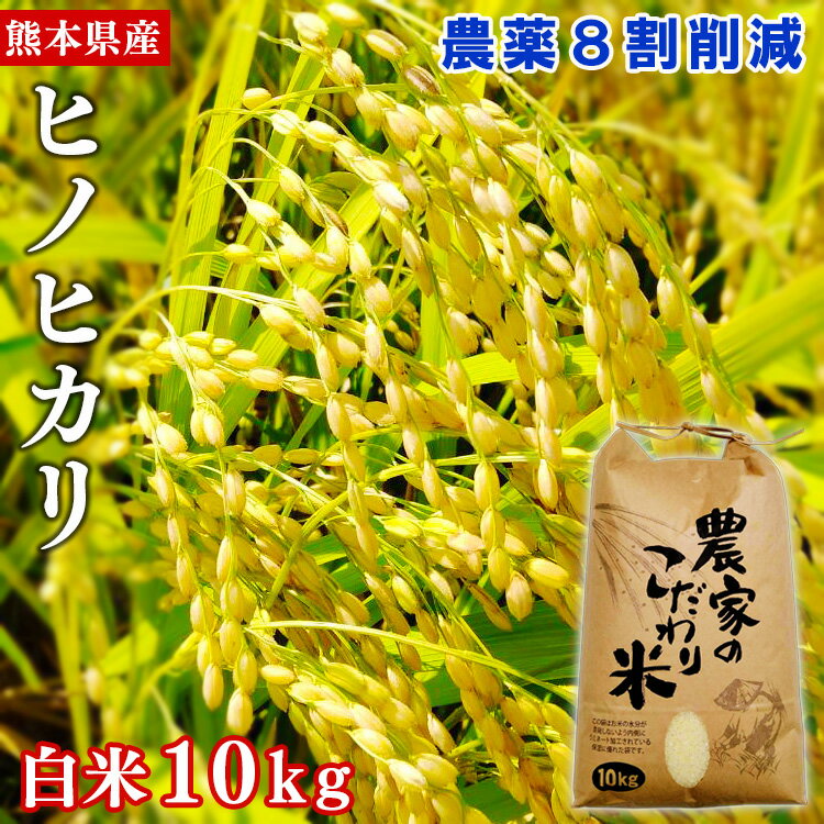 【令和4年産】熊本県あさぎり町産ヒノヒカリ　白米10kg　農薬8割削減 　お届け時期：入金確認後20日前後