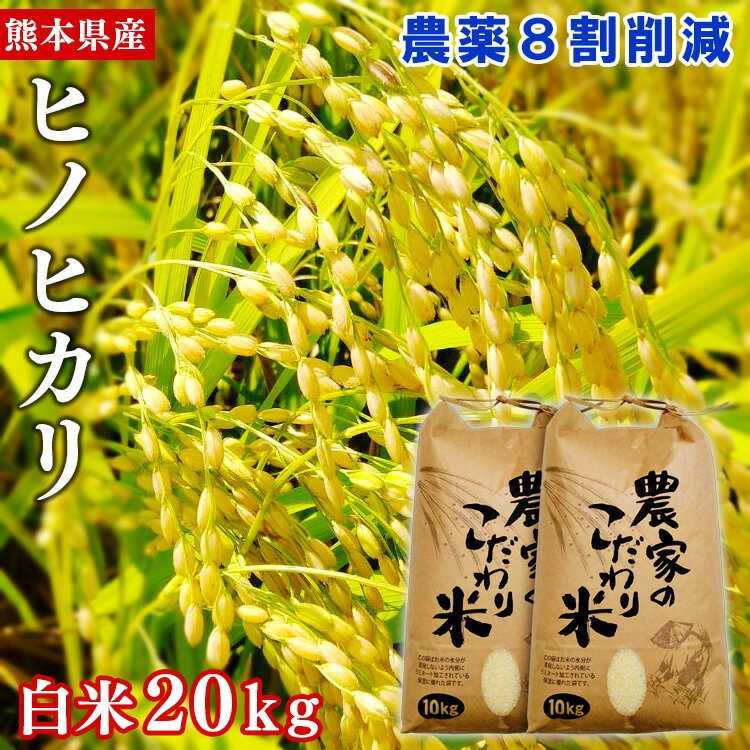 【ふるさと納税】【令和4年産】熊本県あさぎり町産ヒノヒカリ　白米20kg　農薬8割削減 　お届け時期：入金確認後20日前後