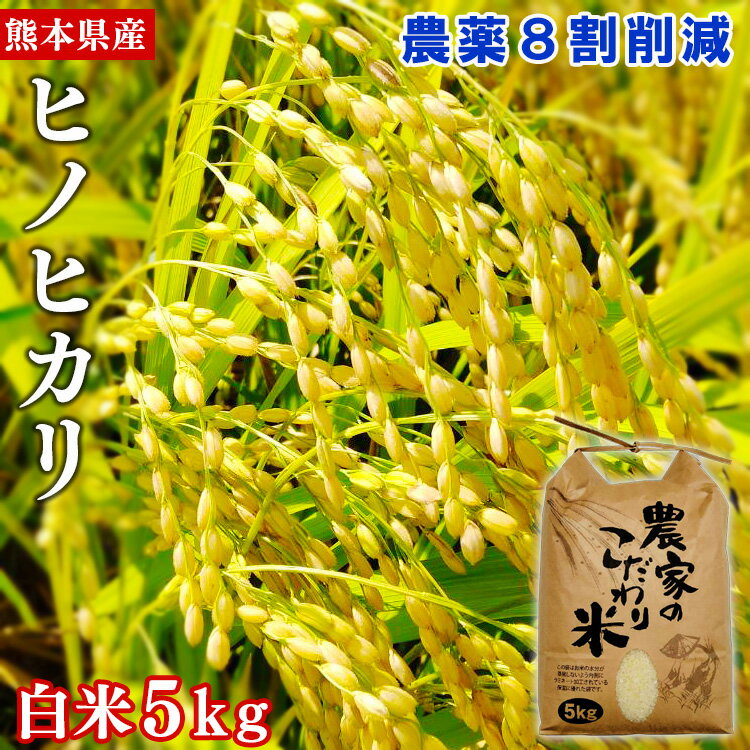 [令和4年産]熊本県あさぎり町産ヒノヒカリ 白米5kg 農薬8割削減 お届け時期:入金確認後20日前後