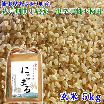 令和5年産 熊本県あさぎり町産にこまる 玄米5kg【農薬・化学肥料不使用】 　お届け時期：入金確認後20日前後