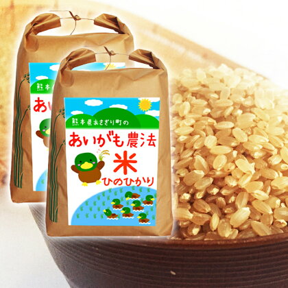 令和5年産 熊本県あさぎり町産 合鴨農法米ヒノヒカリ 玄米 10kg 【農薬・化学肥料不使用】 　お届け時期：入金確認後20日前後