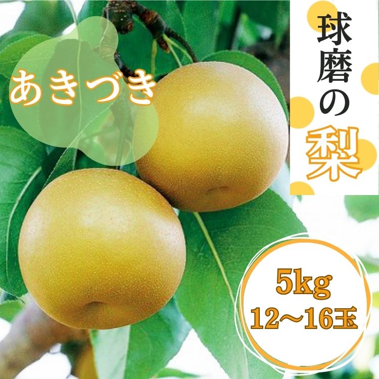 【ふるさと納税】熊本県JAくま産 球磨の梨 5kg 12玉～16玉 旬な品種 お届け時期：2024年8月上旬〜10月上旬