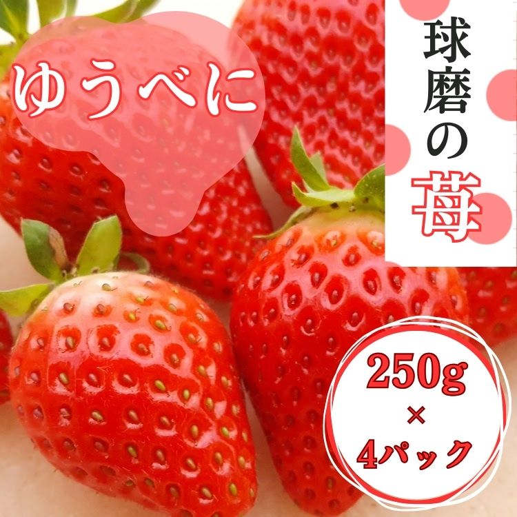257位! 口コミ数「0件」評価「0.0」熊本県JAくま産 球磨の苺 250g×4パック(ゆうべに) 【先行受付】【2027年1月中旬～2月中旬迄発送予定】