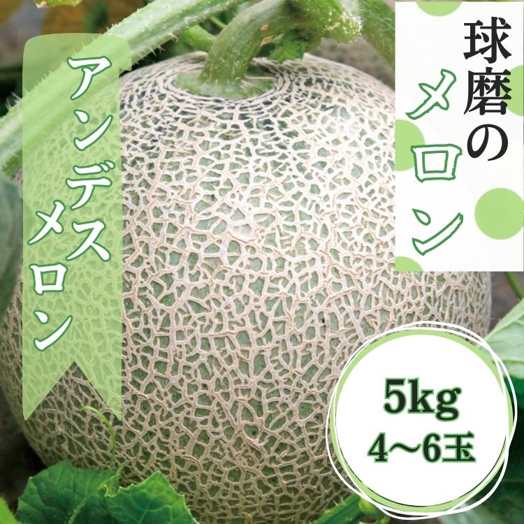 【ふるさと納税】熊本県JAくま産 アンデスメロン　5kg(4玉〜6玉)　【先行受付】【2026年5月上旬～5月下旬迄発送予定】