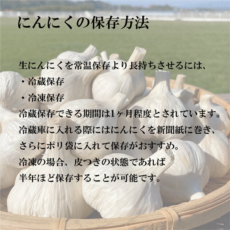 【ふるさと納税】熊本県産　生にんにく2kg　お届け時期：2023年7月より順次発送