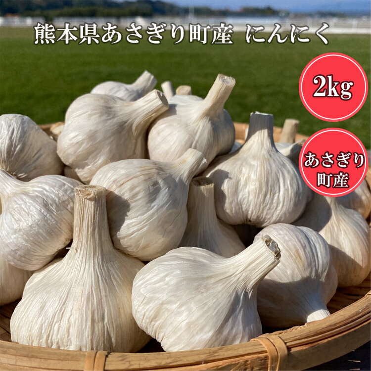 14位! 口コミ数「0件」評価「0」熊本県産　生にんにく2kg　お届け時期：2023年7月より順次発送