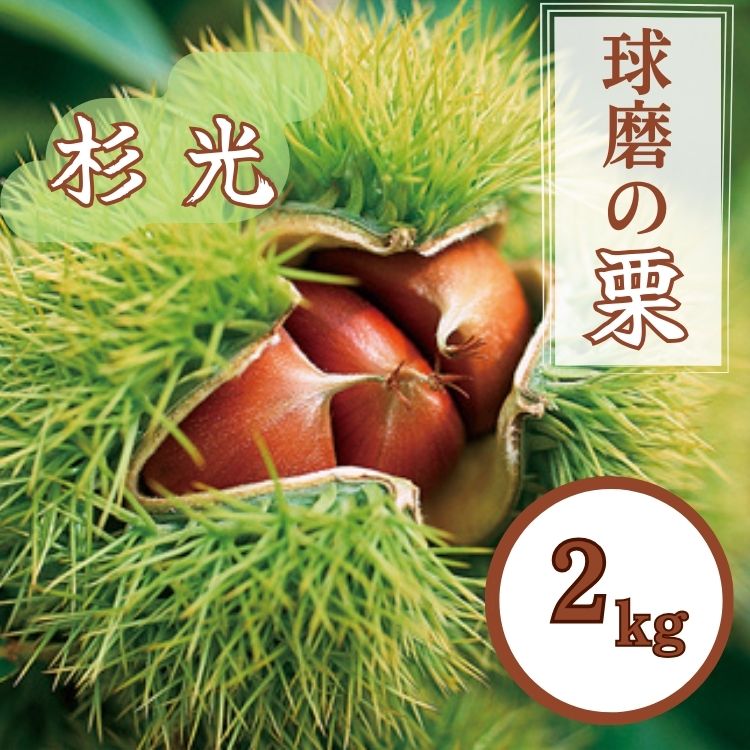 【ふるさと納税】熊本県JAくま産 球磨の栗　杉光 2kg(2