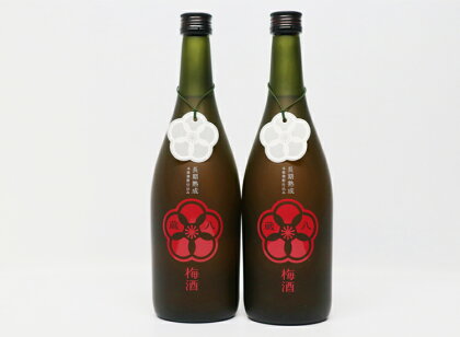 球磨焼酎　堤酒造　蔵八梅酒 720ml×2本　　 　お届け時期：入金確認後20日前後