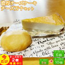 【ふるさと納税】パン工房ツインズの濃厚チーズケーキとチーズ万十セット(チーズケーキ6個・チーズ万十8個今だけ+2個付き) お届け時期:入金確認後20日前後