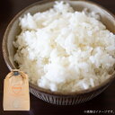 【ふるさと納税】<選べる内容量> 【令和7年産】 くまさんの輝き 5kg×1袋・計10kg(5kg×2袋) お米 米 こめ 精米 単一原料米 ご飯 ごはん あさぎり町産 国産 九州 熊本県 あさぎり町 送料無料 【2025年10月下旬~2026年3月下旬迄発送予定】
