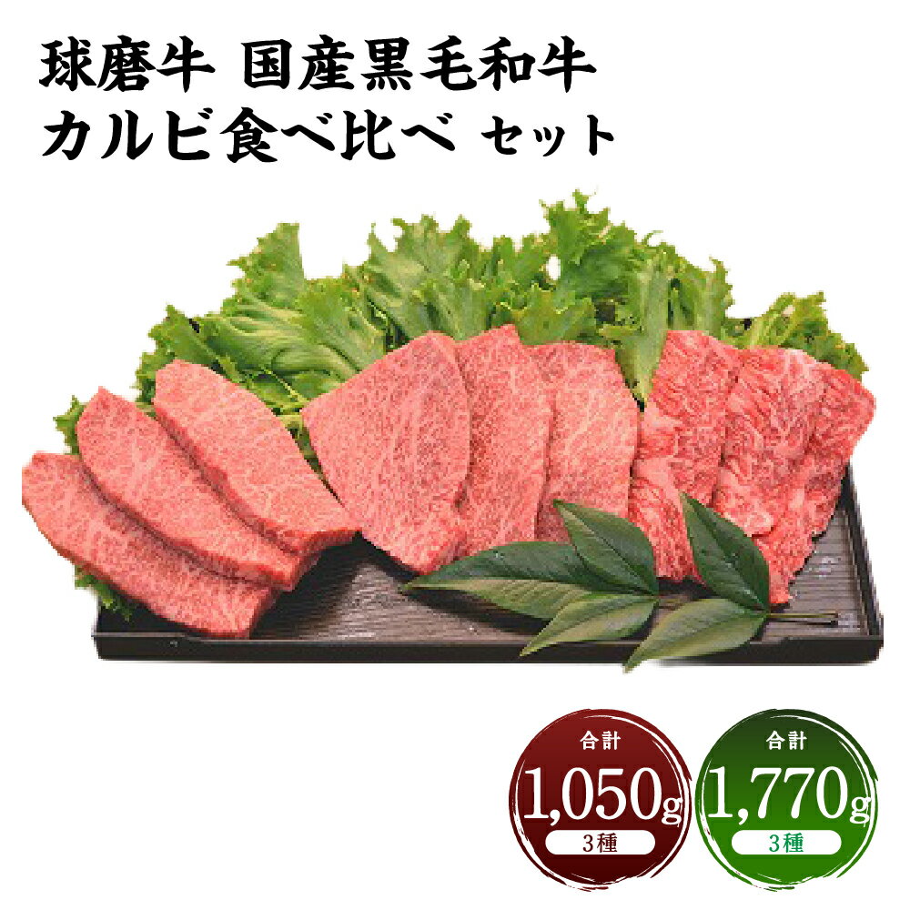 [選べる内容量]球磨牛 国産黒毛和牛カルビ食べ比べセット 計1.05kg / 計1.77kg 3種セット 特選カルビ・上カルビ・カルビ 黒毛和牛 牛肉 お肉 霜降り サシ 赤身 詰め合わせ 冷凍 熊本県産 国産 九州 熊本県 あさぎり町 送料無料
