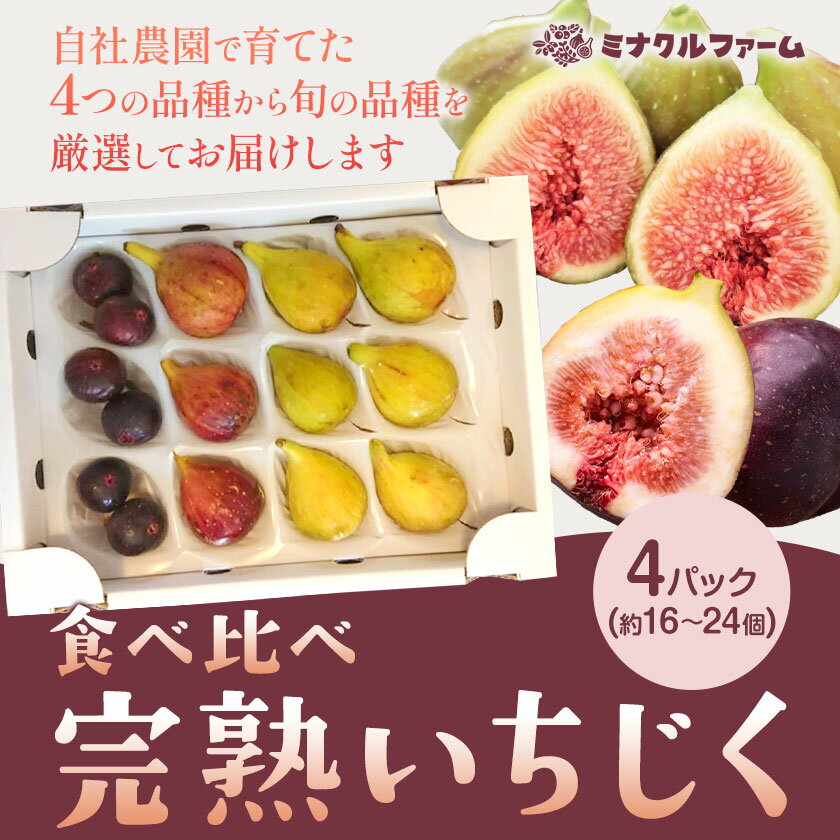 熊本県苓北町の画像3