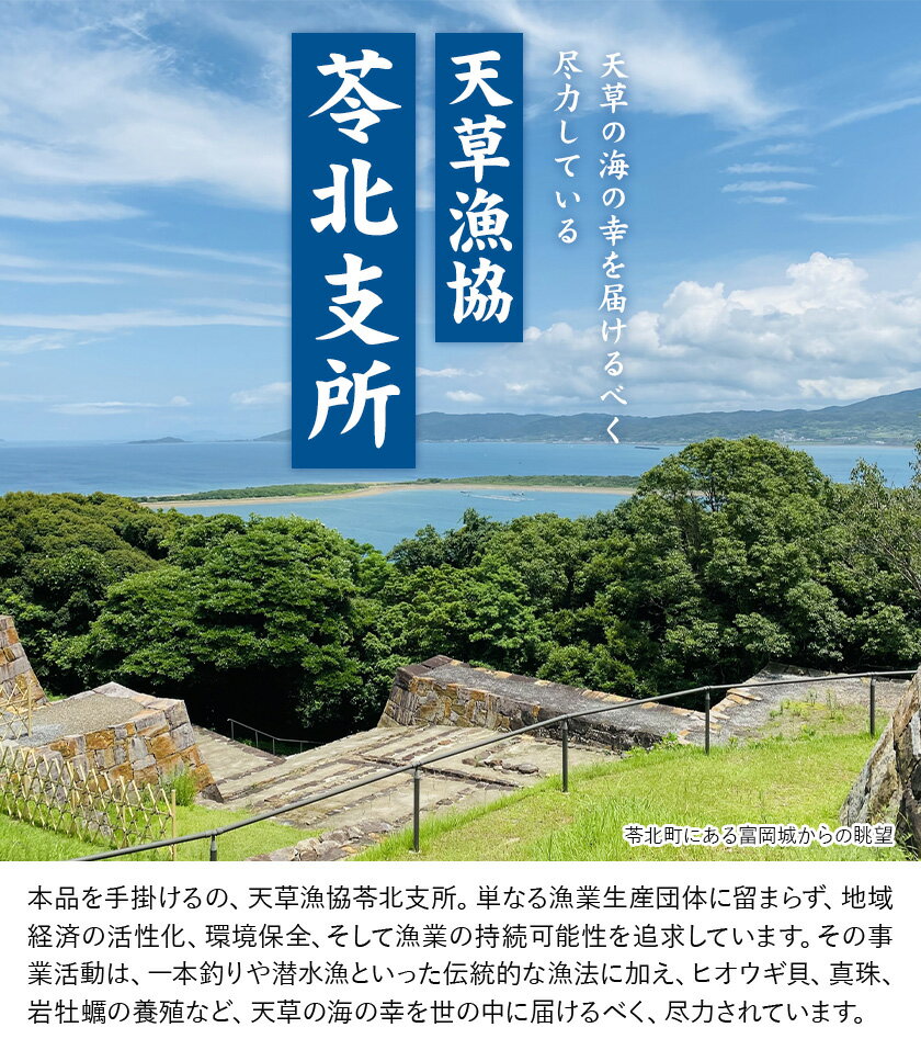 熊本県苓北町の画像3