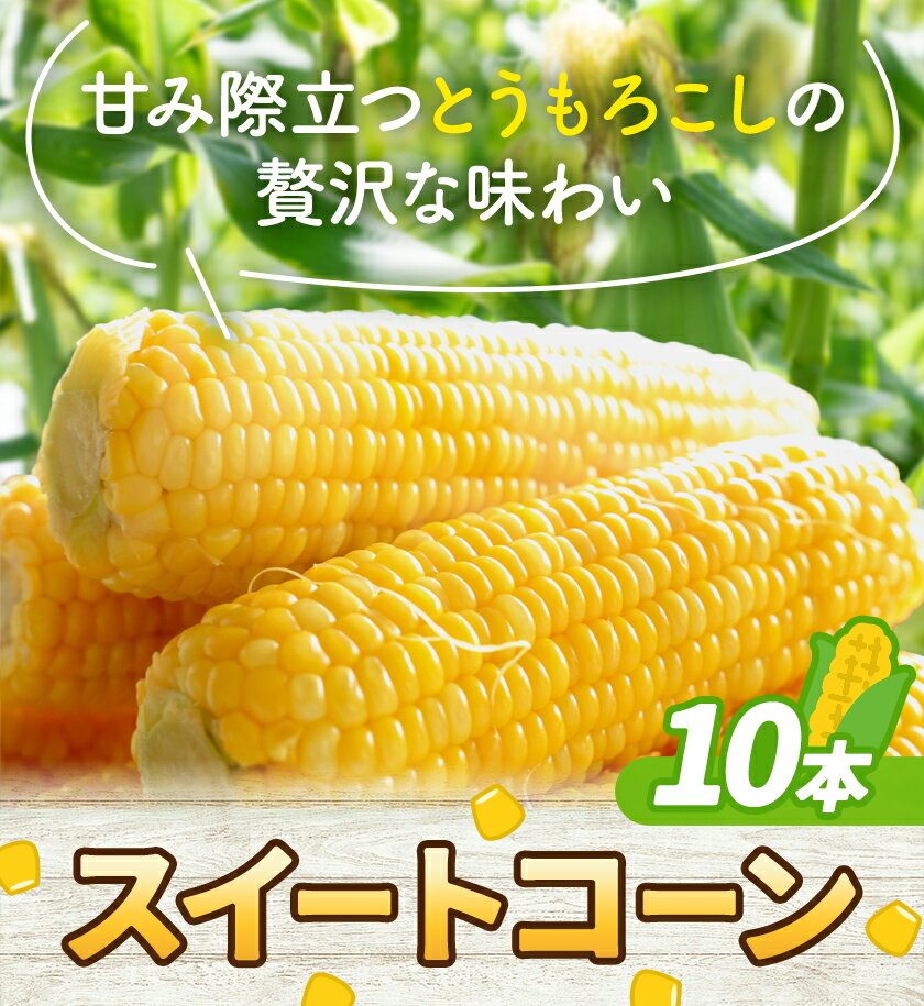 【ふるさと納税】とうもろこし スイートコーン 10本 高橋商店《2026年5月中旬-6月下旬頃出荷》熊本県 苓北町 野菜 コーン 玉蜀黍 コーンバター 焼きとうもろこし コーンスープ