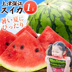 【ふるさと納税】天草産 上津深江 スイカ 1玉 高橋商店《6月末-8月中旬頃出荷》熊本県 苓北町 フルーツ 果物 くだもの スイカ すいか 西瓜 盆すいか 上津深江スイカ【配送不可地域あり】