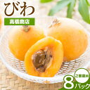 【ふるさと納税】先行予約 天草産 びわ 8パック 家庭用 高橋商店《2026年5月中旬-6月中旬頃出荷》熊本県 苓北町 フルーツ 枇杷 柑橘 果物【配送不可地域あり】