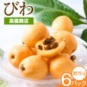 【ふるさと納税】先行予約 天草産 びわ 6パック 贈答用 高橋商店《2026年5月中旬-6月中旬に出荷予定》フルーツ びわ 果物【配送不可地域あり】