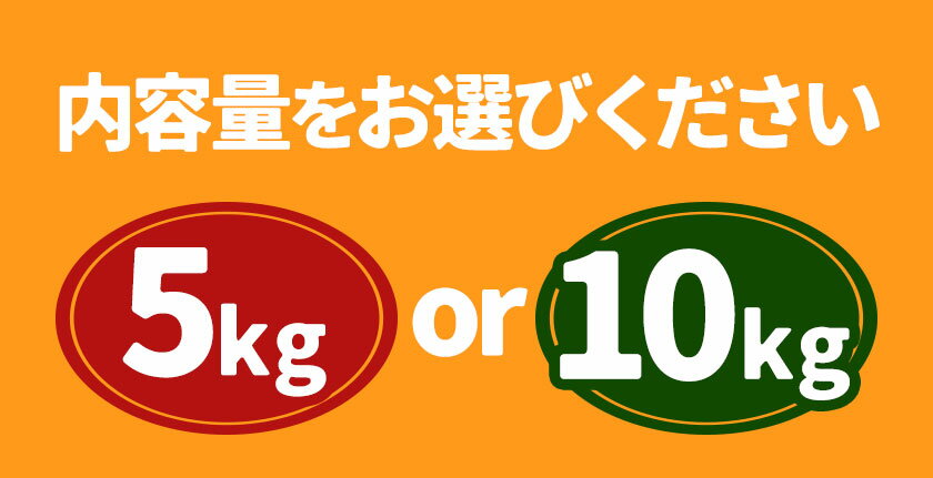 【ふるさと納税】果物 フルーツ みかん 極早生みかん 豊福 選べる内容量 約5kg 約10kg 都呂々みかん生産者グループ《10月中旬-11月下旬頃出荷》 ミカン 蜜柑 柑橘 生産者直送 産地直送 天草 苓北 送料無料 熊本県