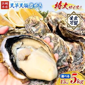 【ふるさと納税】ふるさと納税総合ランキング入賞 牡蠣 カキ 天草天領 岩かき 特大 選べる 容量 約 1.5kg 2.5kg 5kg 《4月上旬-7月末頃出荷》海鮮 海産物 シーフード 魚貝類 かき 岩かき 岩牡蠣 夏牡蠣 生食用 生もの 濃厚 熊本県 苓北町 浜崎水産【配送不可地域あり】