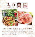 熊本県苓北町の画像3