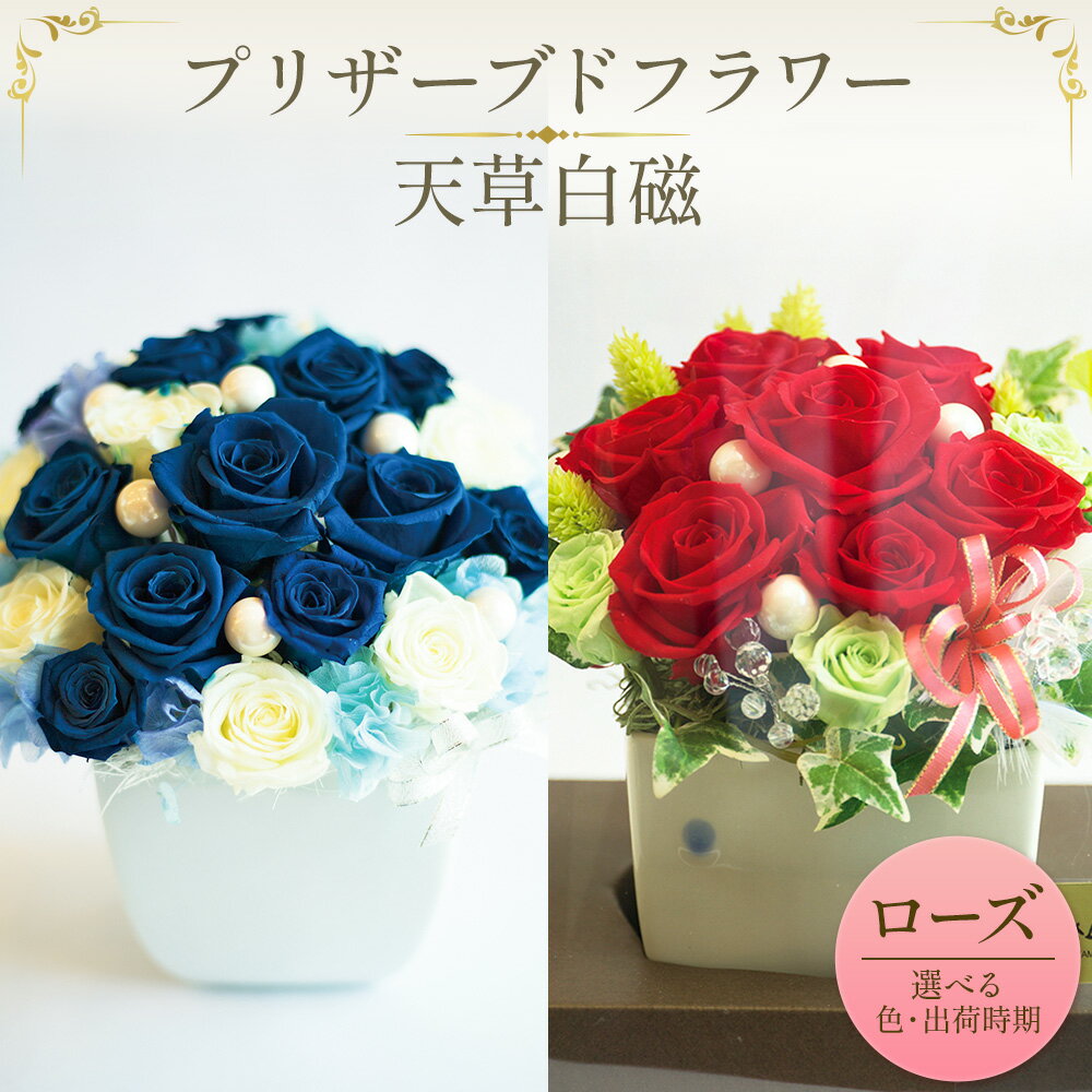 プリザーブドフラワー 選べる 色 ブルーローズ レッドローズ 天草白磁[選べる出荷時期]熊本県 苓北町 花 はな フラワー ローズ バラ 薔薇 青 青薔薇 アレンジメント 内田皿山焼 花瓶 インテリア