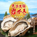 熊本県苓北町の画像2