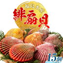 【ふるさと納税】緋扇貝 贈答 お歳暮 ヒオウギガイ 西日本限定発送 15個 福島水産《11月上旬-2月末頃出荷予定》檜扇貝 生食 貝柱 天草 苓北 熊本 貝 か...