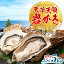 1位! 口コミ数「9件」評価「4.33」牡蠣 カキ 天領 岩牡蠣 選べる容量 約1.5kg 2.5kg 5kg 《4月上旬-6月末頃出荷予定》熊本県 苓北町 かき 岩カキ 岩ガキ 貝 BIG ビッグ 生食 バーベキュー 夏天草 天領 福島水・・・