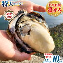 【ふるさと納税】先行予約 牡蠣 カキ 天領 岩牡蠣 選べる容量 約1.5kg 2.5kg 5kg 《2026年4月上旬-7月末頃出荷予定》熊本県 苓北町 かき 岩カキ 岩ガキ 貝 BIG ビッグ 生食 バーベキュー 夏天草 天領 福島水産 苓北 熊本 旬 シーズン 送料無料【配送不可地域あり】