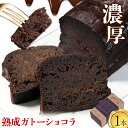 【ふるさと納税】菓子 ケーキ ガトーショコラ 1本 洋菓子店Hana《30日以内に出荷予定(土日祝除く)》 熊本県 苓北町 チョコレートケーキ 天草 苓北 熊本 送料無料