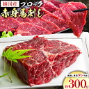 【ふるさと納税】純国産 赤身 馬刺し ブロック 約300g 馬刺し専用タレ付き 株式会社ワンエイト《30日以内に出荷予定(土日祝除く)》熊本県 苓北町 国産 赤身馬刺し ブロック タレ付き
