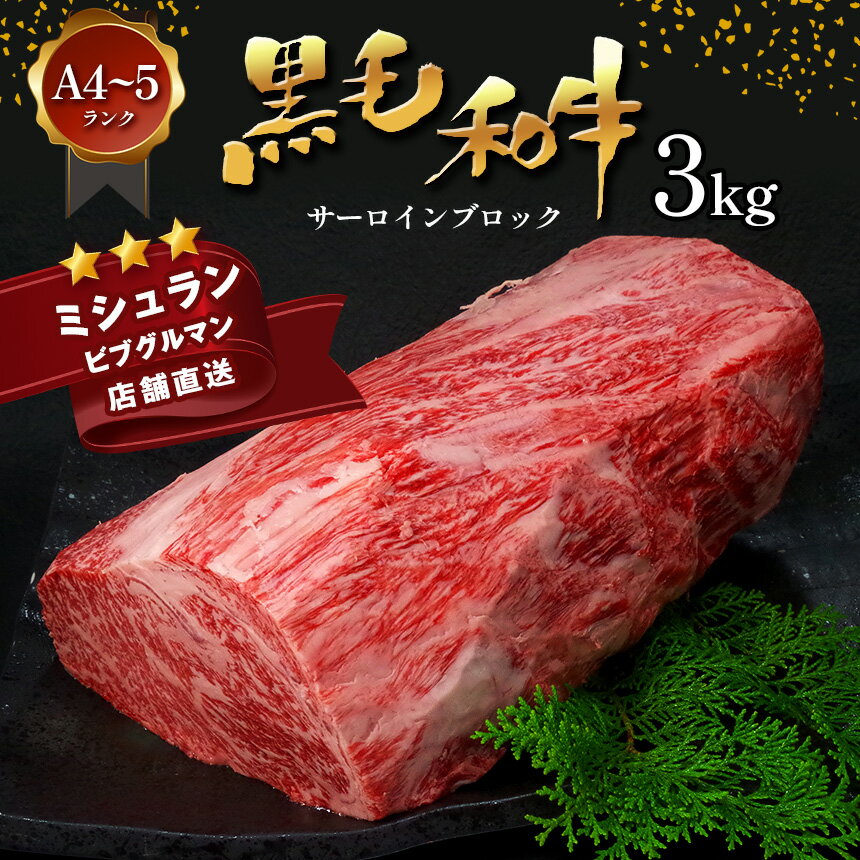 【ふるさと納税】 黒毛和牛 サーロイン ブロック 3kg A4 ～ A5 ランク ミシュラン ビブグルマン 国産 肉 牛肉 黒牛 天草 苓北 熊本 産地直送 楽天ふるさと 送料無料