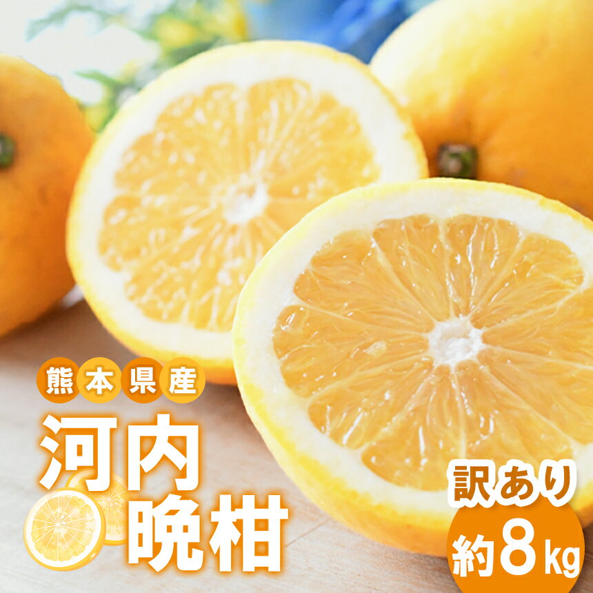 2位! 口コミ数「1件」評価「4」 訳あり 熊本県産 河内晩柑 約 8kg 国産 九州 熊本県 苓北町 天草 西海岸 南国 れいほく フルーツ みかん オレンジ 名産 送料無･･･ 