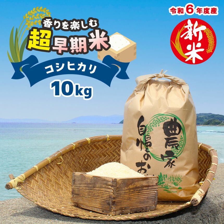 【ふるさと納税】香り を 楽しむ 超早期米 コシヒカリ ＜ 8月 から発送 ＞ 新米 令和6年 産 こしひかり 10kg 米 早期米 早い 収穫 天草 苓北 国産 九州 熊本 【 先行予約 】【 数量限定 】熊本県産 安心 検査米
