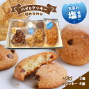 【ふるさと納税】天草 塩 パイ クッキー 4種 詰め合わせ 焼き 菓子 メレンゲ 贈り物 プレゼント 天草 苓北 熊本 送料無料