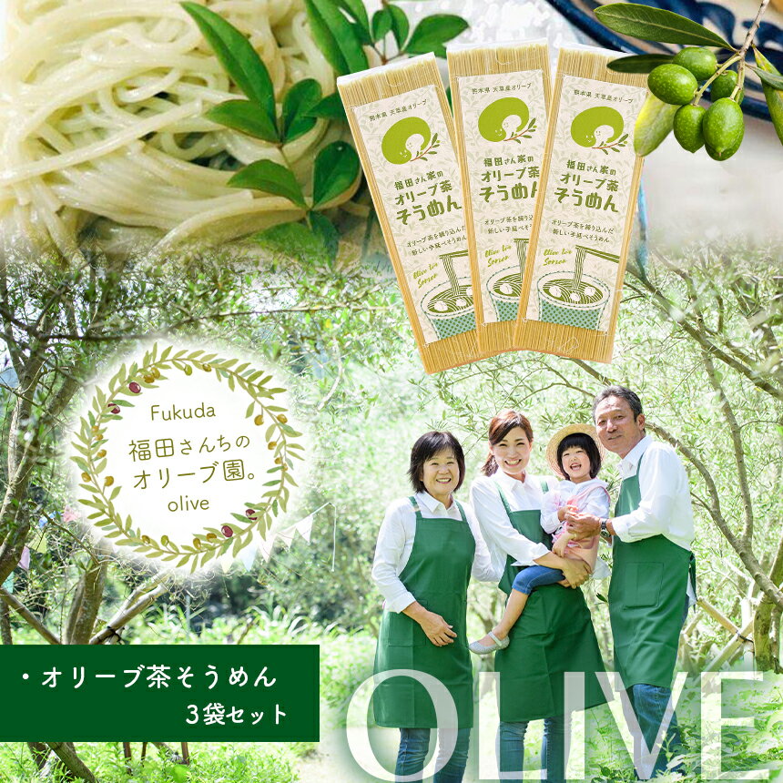 4位! 口コミ数「0件」評価「0」オリーブ 茶 そうめん 3袋 セット 手延べ 麺 農薬 不使用 乳酸菌 天草 苓北 熊本 送料無料