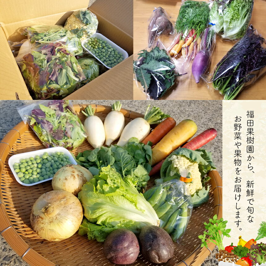 【ふるさと納税】野菜 果物 詰め合わせ 自然栽培 福田果樹園 旬 セット 天草 苓北 熊本 送料無料