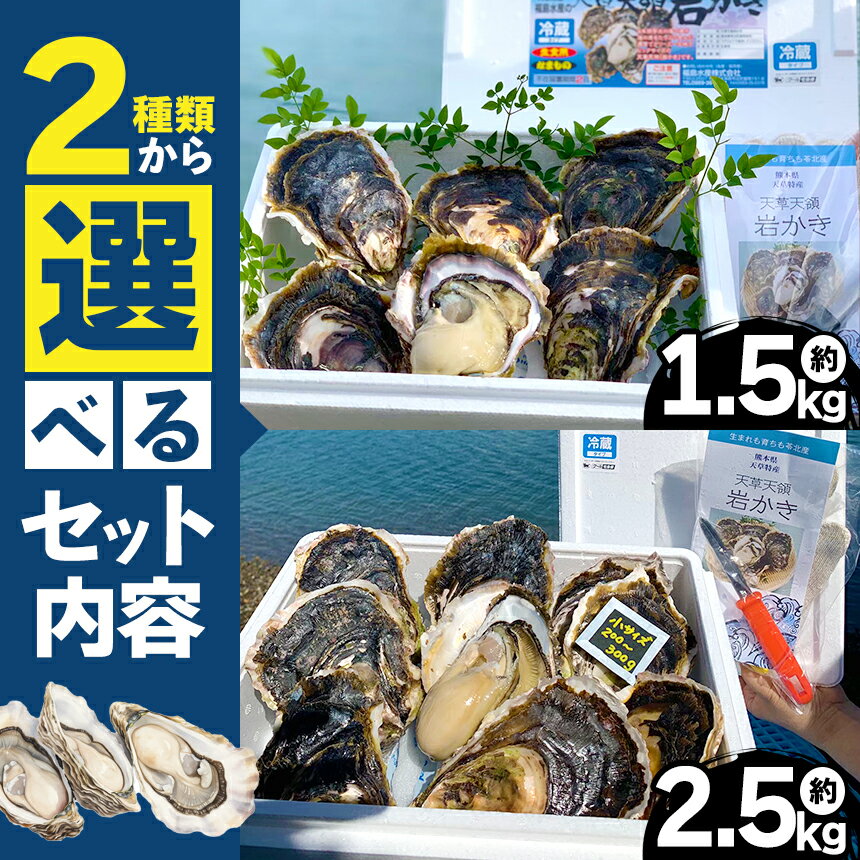 【ふるさと納税】 【先行予約】天領岩牡蠣 約1.5kg または 約 2.5kg 福島水産 牡蠣 かき カキ 岩カキ 岩ガキ 貝 BIG ビッグ 生食 バーベキュー 夏天草 天領 苓北 熊本 旬 シーズン 送料無料