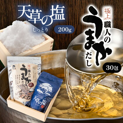 塩 だし salt だしパック 和食 調味料 天草の塩 天草灘 天草 苓北 熊本 送料無料